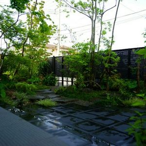 Meet your Posher, Night